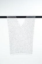Starlace Fishnet Top